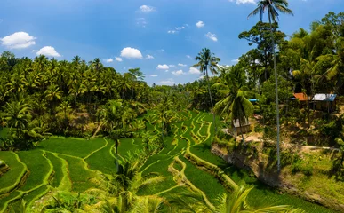 Vlies Fototapete Reisfelder Low altitude drone view of spectacular and beautiful rice terraces in Bali, Indonesia