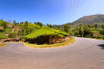 Beautiful view of Tea plantations in Munnar, Kerala, India.
