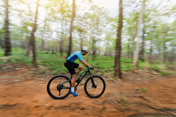 Mountain biker cyclists training in the forest