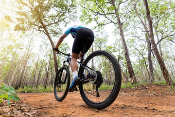 Mountain biker cyclists training in the forest