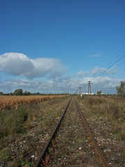 tory kolejowe © wedrownik52