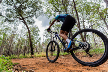 Fototapeta na wymiar Mountain biker cyclists training in the forest