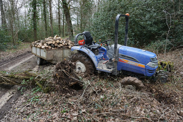 tractor and his cut wood load stuck in the mud by a fallen tree in the forest
