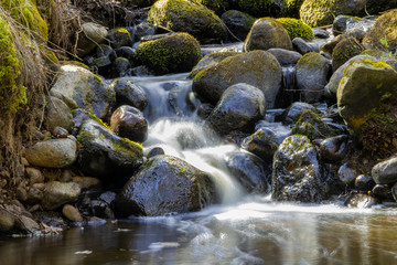 Fototapeta na wymiar Small stream in the forest 