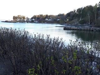 Obraz premium View of the water through the bushes - Lysaker 