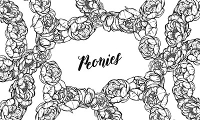 Vector illustration. Flower decoration of peonies. card for you, prints on T-shirts,Handmade. background white
