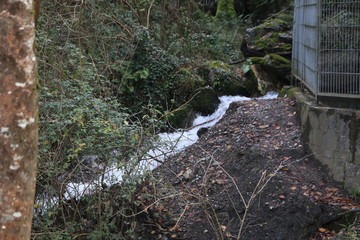 Río