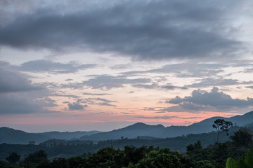 Traveling to see the sea of mist and sunrise in the morning at the view of Phu Lanka, Phayao Province, Thailand