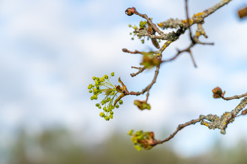 Frühling