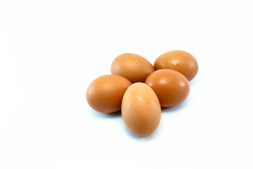 
egg