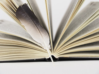 A black and white feather of a bird lies on an open book with black binding on a white background.