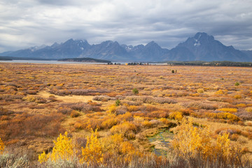 Grand Teton