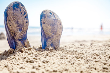 Fototapeta premium Sunny beach by the ocean on a holiday day