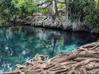 River. Chemka Hot Springs. Kikuletwa Hotsprings. Moshi. Arusha. Kilimanjaro. Tanzania
