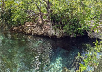 River. Chemka Hot Springs. Kikuletwa Hotsprings. Moshi. Arusha. Kilimanjaro. Tanzania