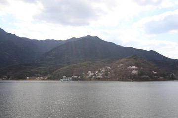 흰꽃이 보이는 아름다운 봄풍경