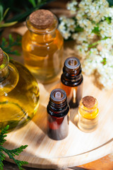 Assortment of natural oils in glass bottles on wooden background. Concept of pure organic ingredients in cosmetology. Atmosphere of harmony, relax, spa. Close up macro. Healthy lifestyle. 