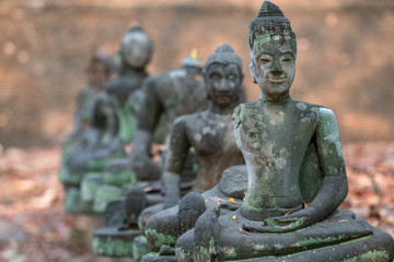 Buddha statues at Wat Umong temple in Chiang Mai, Thailand
