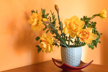 Yellow daffodils in a vase.