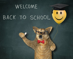 The beige dog in a red bow tie and glasses is holding a yellow smiling balloon in a square academic cap and a piece of chalk near a blackboard with lettering welcome back to school.
