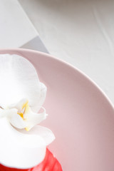 red mousse cake on a pink plate with orchid