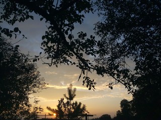 sunset in the forest