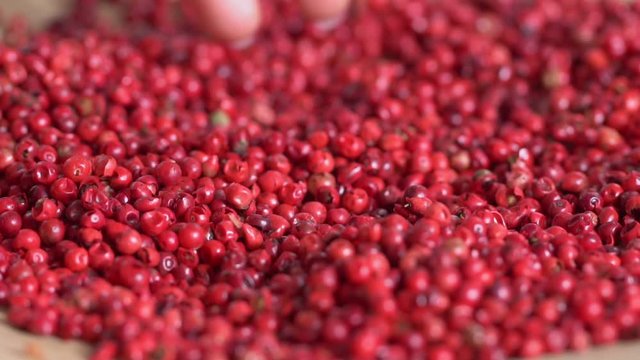 Food spices pink peppercorns red pepper Himalayan pepper berries. concept of fresh and dietary spices for cooking schools vegans and dietary products