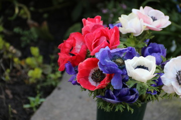 Blumenstrauß mit bunten Anemonen auf dem Friedhof
