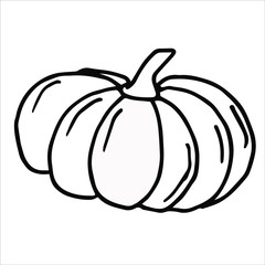 Pumpkin for Halloween in outline style. Vector isolated