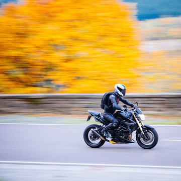 Single biker in front of a colorful tree