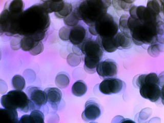 bacteria cells in the laboratory, abstract background with bubbles bokeh background. concept blur cells bacteria microscope, virus