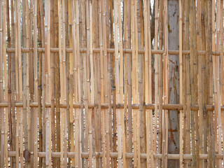 bamboo fence background