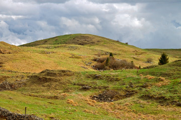 Obraz premium Natura