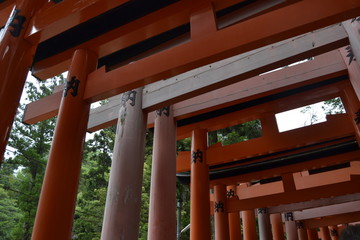 Fushimi Inari