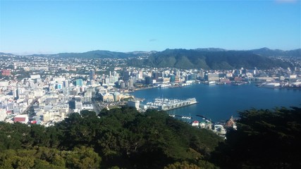 Fototapeta premium The view on Wellington, New Zealand from the Mount Victoria lookout