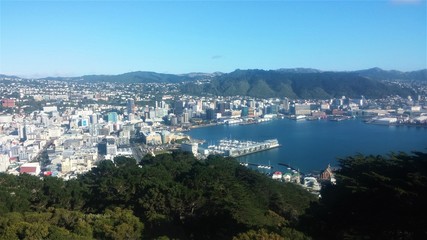 The view on Wellington, New Zealand from the Mount Victoria lookout