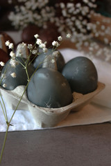 eggs