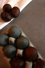 eggs