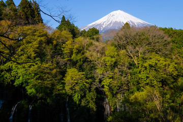 富士山と白糸の滝