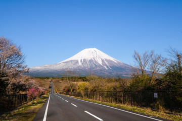 路と富士山