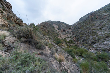 The green river as it passes through the Cejor