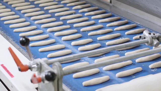 Fresh Bread Dough Rolls Moving On Blue Conveyor Belt 