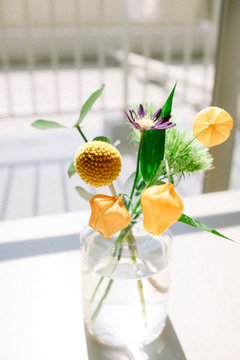 窓辺の花
