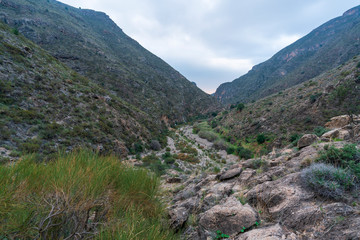 Fototapeta na wymiar The green river as it passes through the Cejor