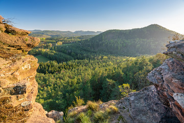 Naturpark und Biosphärenreservat Pfälzerwald