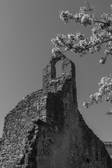 Isernia, Molise, ruins of the Celestial Convent of S. Spirito.  View.