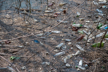 Fototapeta premium a lot of garbage and plastic bottles in the water of the river. environmental pollution and harm to nature. plastic in the oceans
