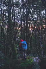 Obraz premium man in the forest in Mt. Apo, Philippines