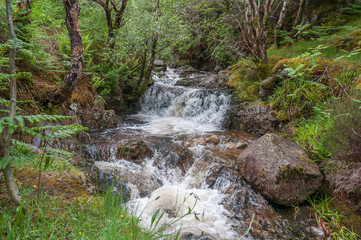 Small stream flowing in the woods of Glencoe, Scottish Highlands