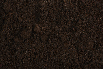 Black land for plant background.